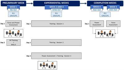 Inter-task transfer of force gains is facilitated by motor imagery